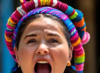 Canción El grito (yo soy puro guatemalteco) imagen de la canción el grito yo soy puro guatemalteco