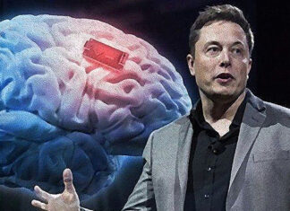 Musk Revela Actualización sobre Neuralink