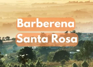 Canción Barberena, Santa Rosa, Guatemala